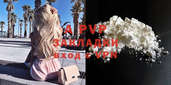 прущие грибы Пестово
